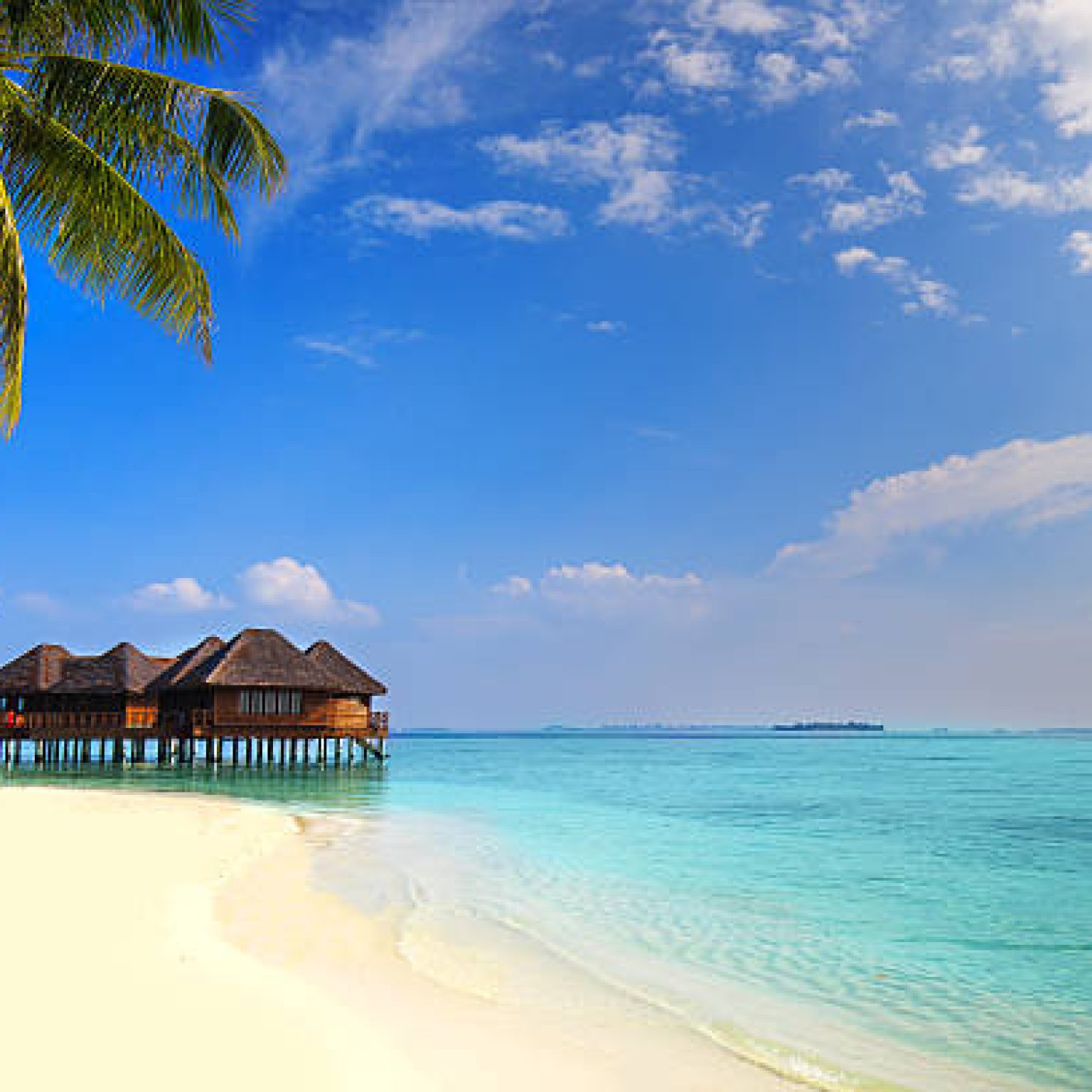 Tropical island with sandy beach, palm trees, overwater bungalows and tourquise clear water